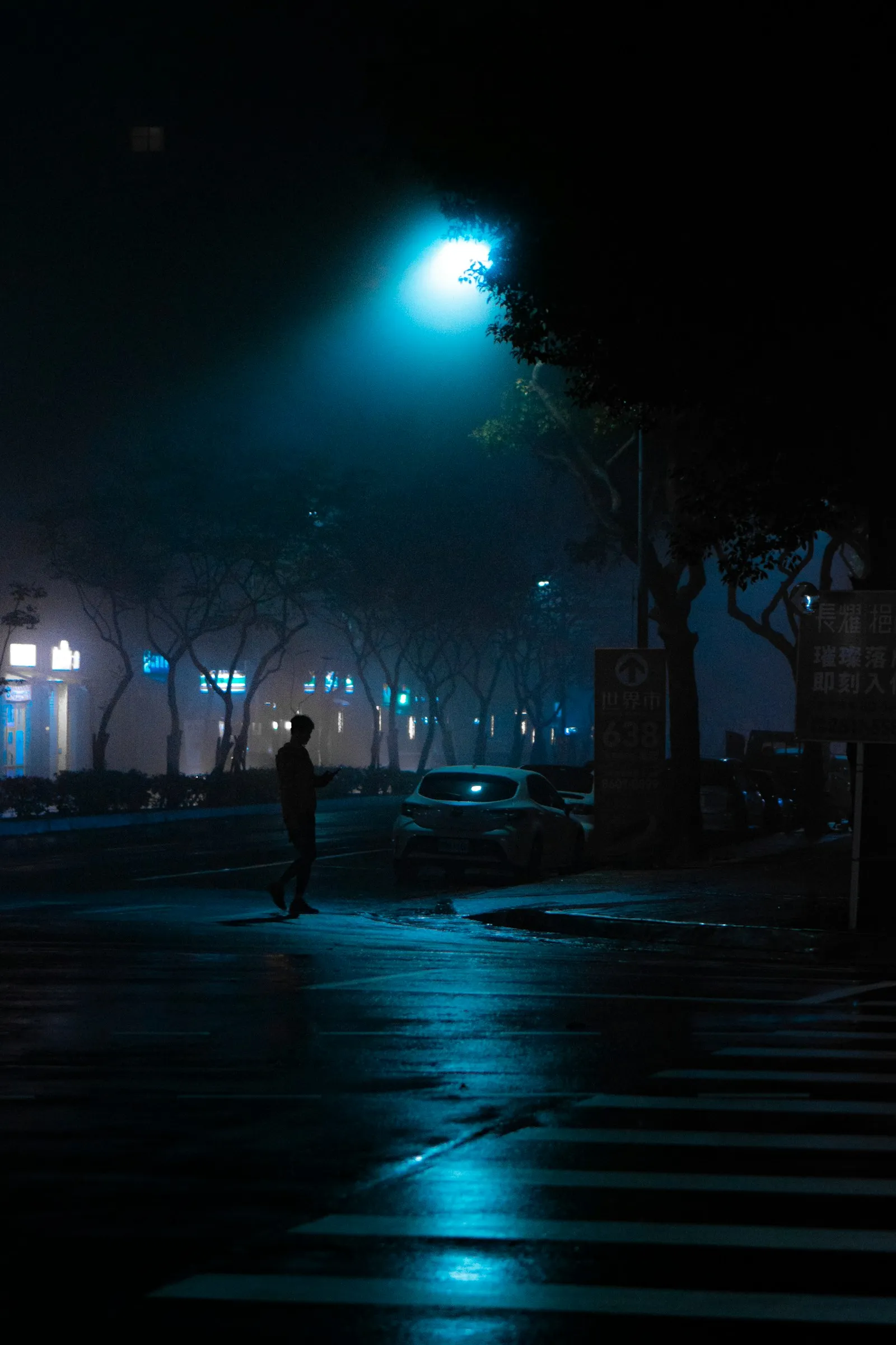 A Night Walk with No Destination