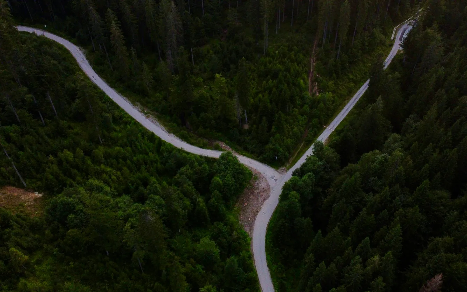 An aerial view of a pale road splitting in two through a dense green conifer forest